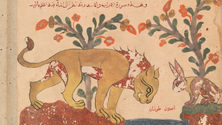 „Der Hase, der Löwe und der Brunnen“, Folio aus einem Kalila wa Dimna