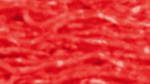 Cover_Koehler_2025