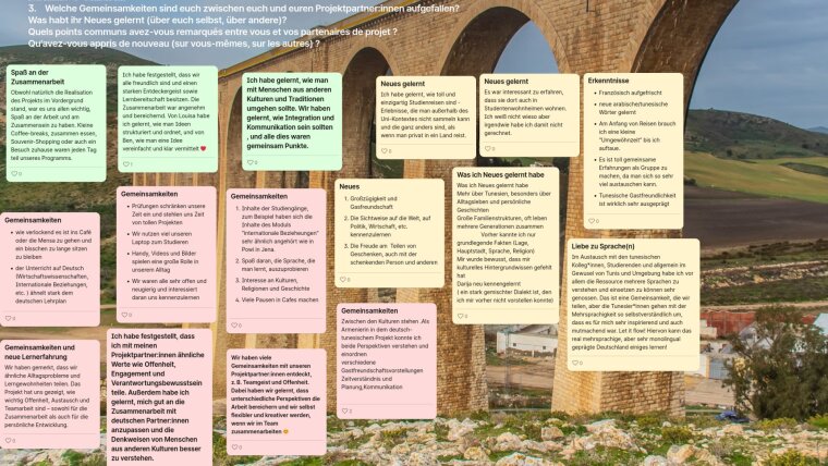 Reflexion interkultureller Erfahrungen (7)