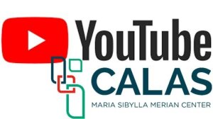 You Tube Calas