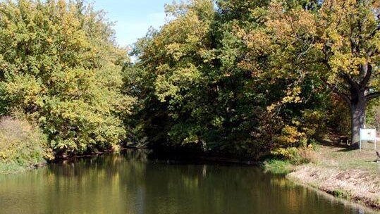 Der wasserführende Zentralbereich des Karlsgrabens im Dorf Graben