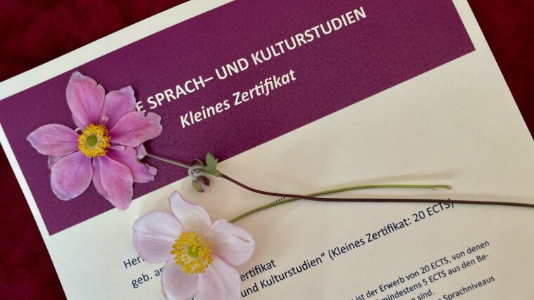 Ausschnitt eines Dokuments