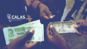 Dolarizaciones en América Latina y más allá: Nuevos enfoques en Ciencias Sociales