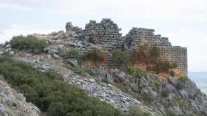 Orchomenos, Akropolis-Kastell, die besterhaltene (Süd-) Seite mit bis zu 22 Lagen Quadermauerwerk in situ. Blick von SW.