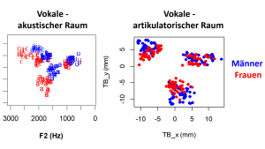 Akustischer und artikulatorischer Vokalraum bei Männern und Frauen