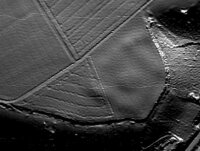 Und auch im LIDAR_Scan ist der rechteckige Grundriss deutlich erkennbar