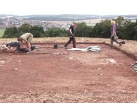 Wie alles auf dem Veitsberg begann... die erste Steine zeigen sich 2010 direkt unter dem Humus