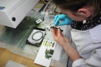 Herstellung der Replik eines bronzenen Maskenarmringes