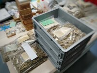 Moderne Verpackungen zur Aufbewahrung von Sammlungsgut