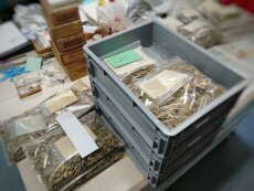 Moderne Verpackungen zur Aufbewahrung von Sammlungsgut