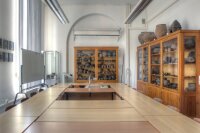 Blick in die Lehr- und Studiensammlung innerhalb des Seminarraums