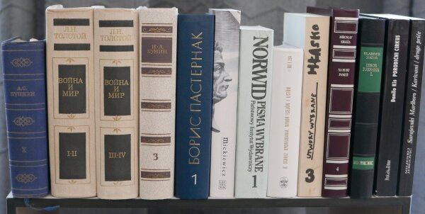 Bookshelf with slavic classics