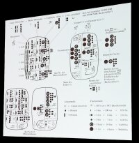 Early cuneiform texts were of economic-statistical intent
